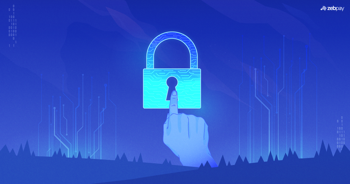 What are Public and Private Keys in Crypto?