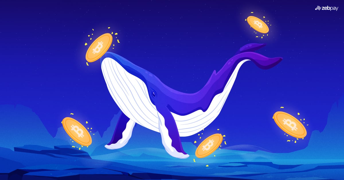 Bitcoin Crypto Whales
