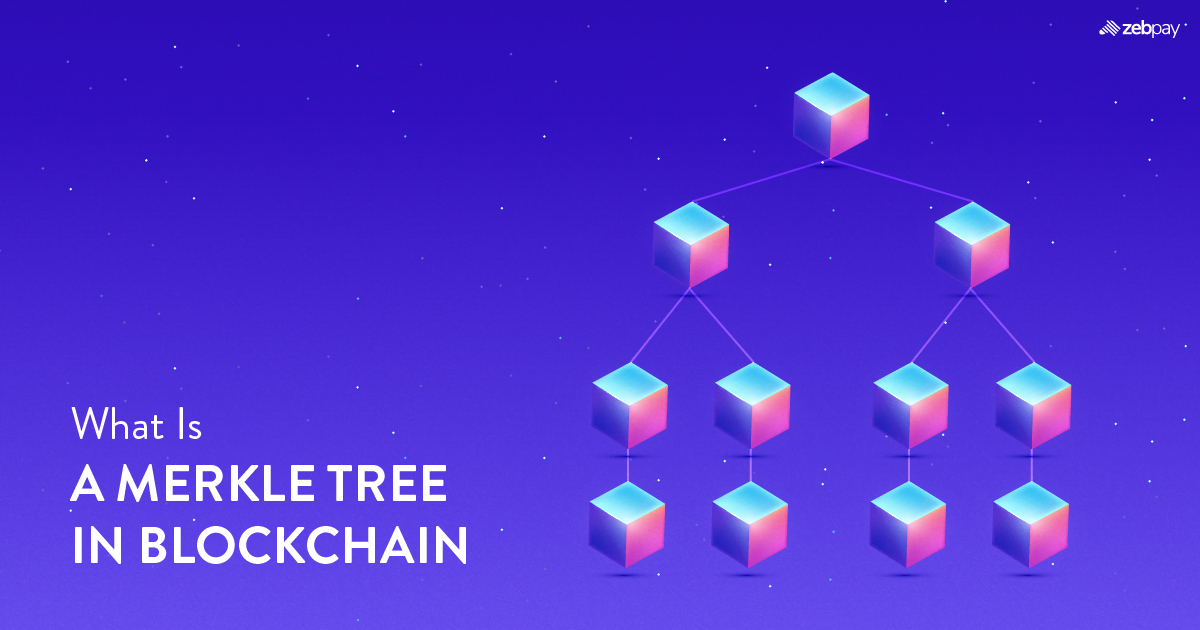 What is a Merkle Tree in Blockchain