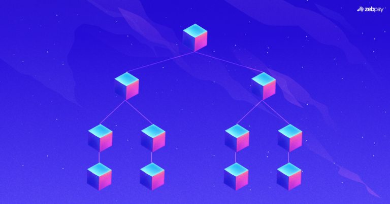 Merkle Tree VS Verkle Tree