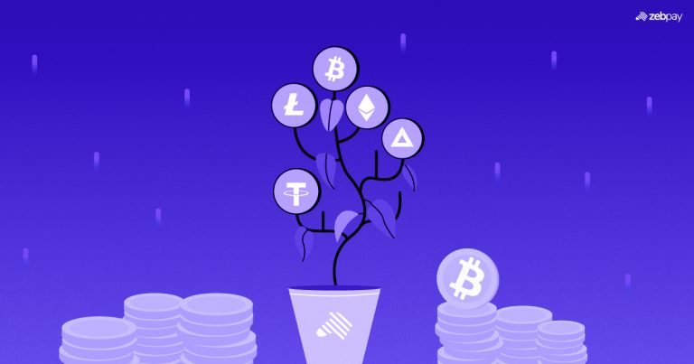 How to Start Investing in Crypto with ZebPay