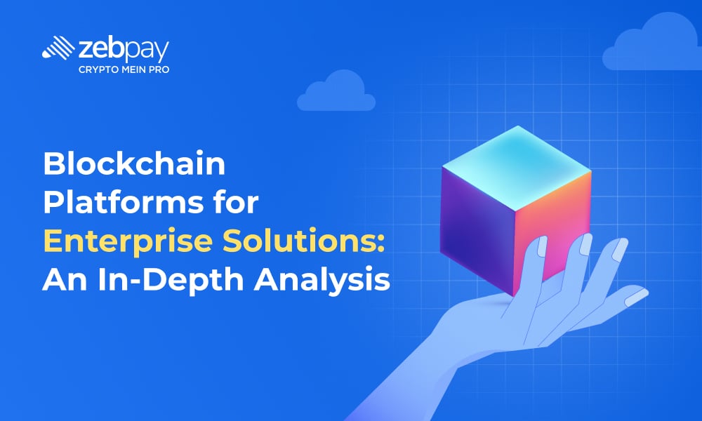 Blockchain Platforms for Enterprise Solutions: An In-Depth Analysis