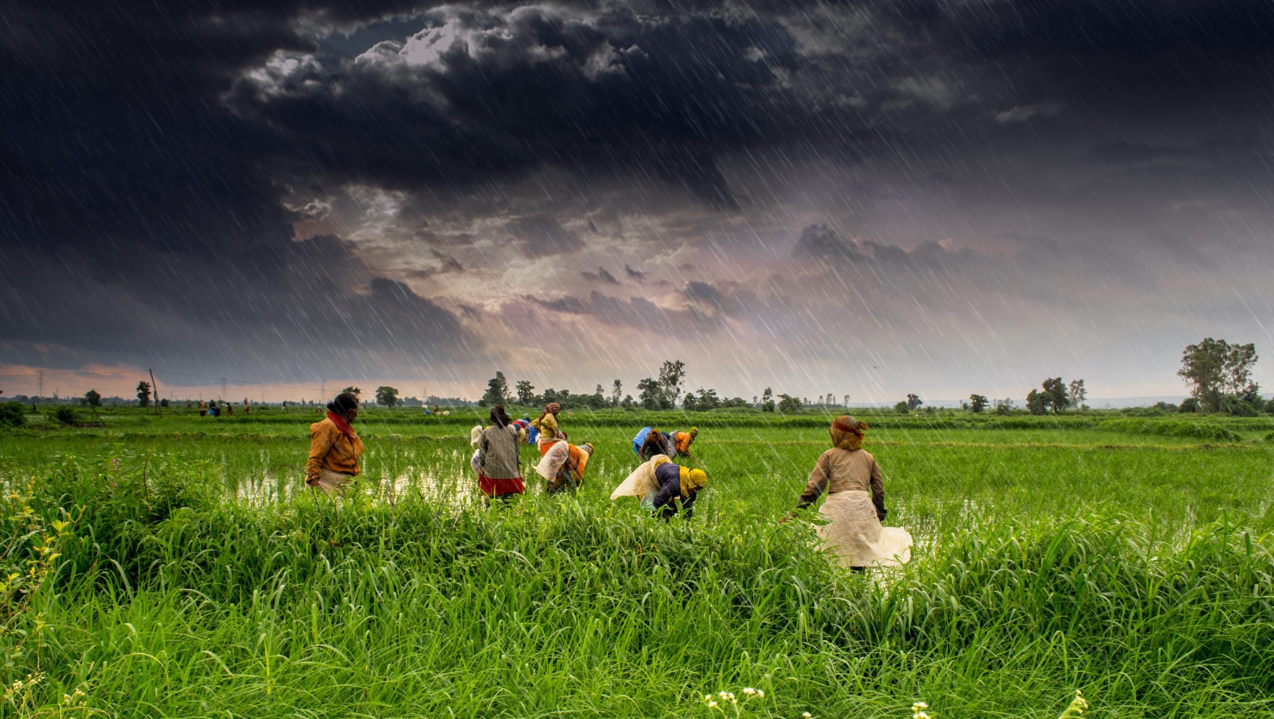 How Chainlink can bring the power of blockchain to India’s farmers