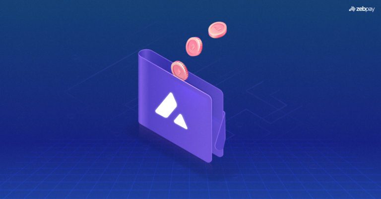 How To Use an Avalanche Wallet?