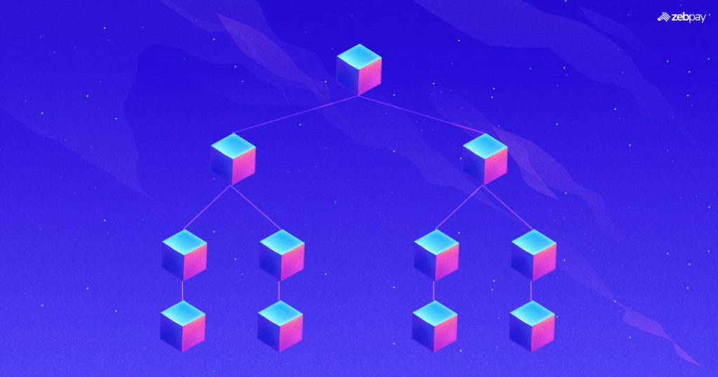 Merkle Tree VS Verkle Tree