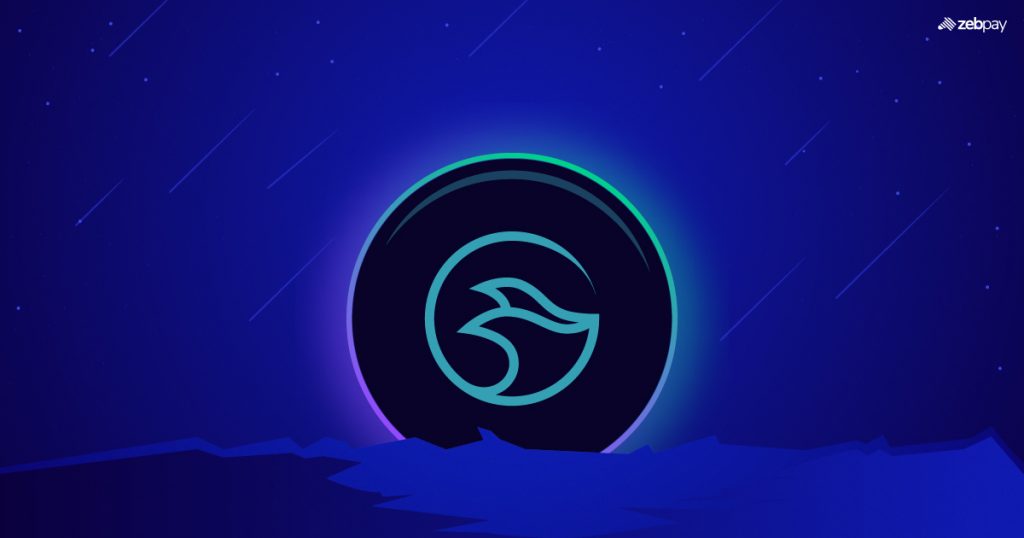 What is the Manta Network?