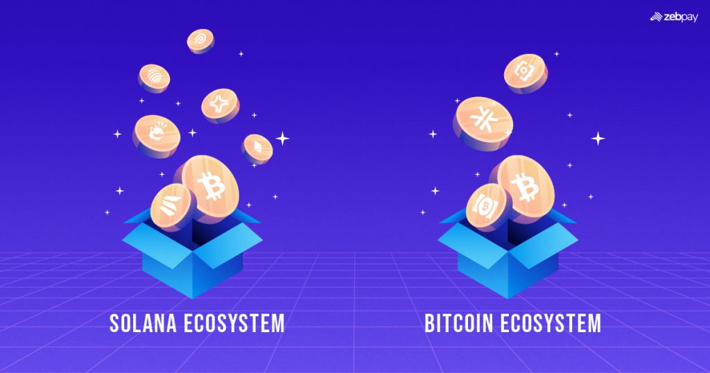 ZebPay India Introduces Two New Cutting-Edge CryptoPacks