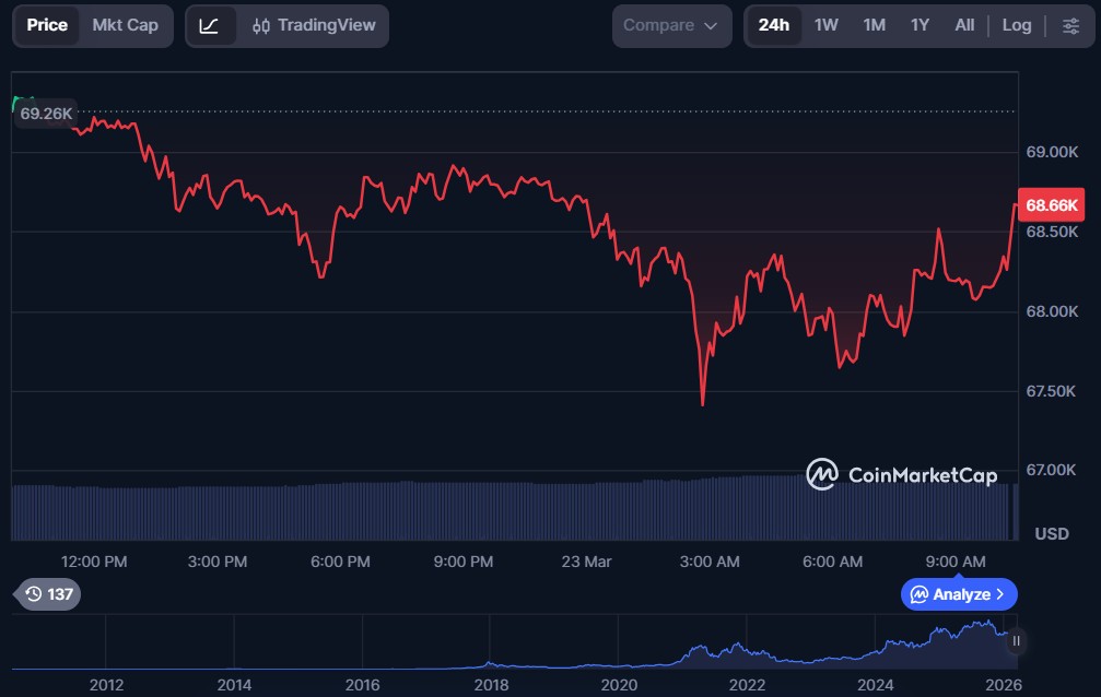 Top 10 Cryptos to Invest in March 2026