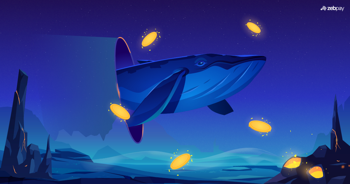 Whales in Crypto