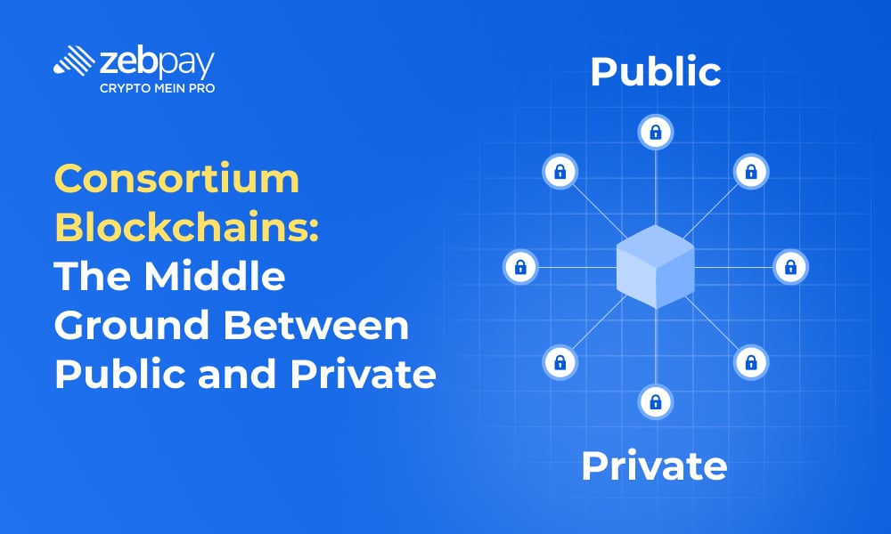 Consortium Blockchains: The Middle Ground Between Public and Private