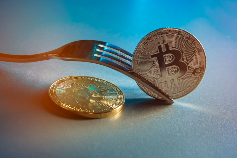 Hard Fork And Soft Fork Explained