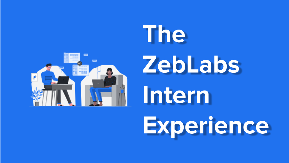 The ZebLabs Intern Experience | Krina Shah