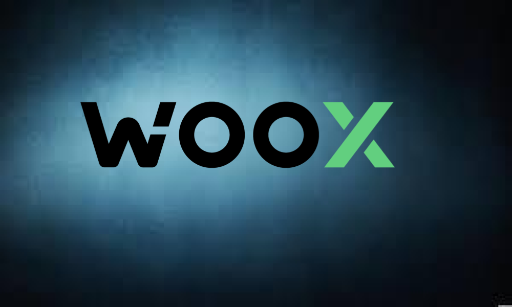 What is Woo Network?