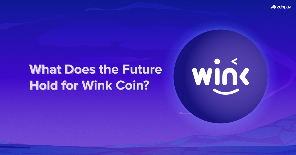 What Does the Future Hold for Wink Coin?