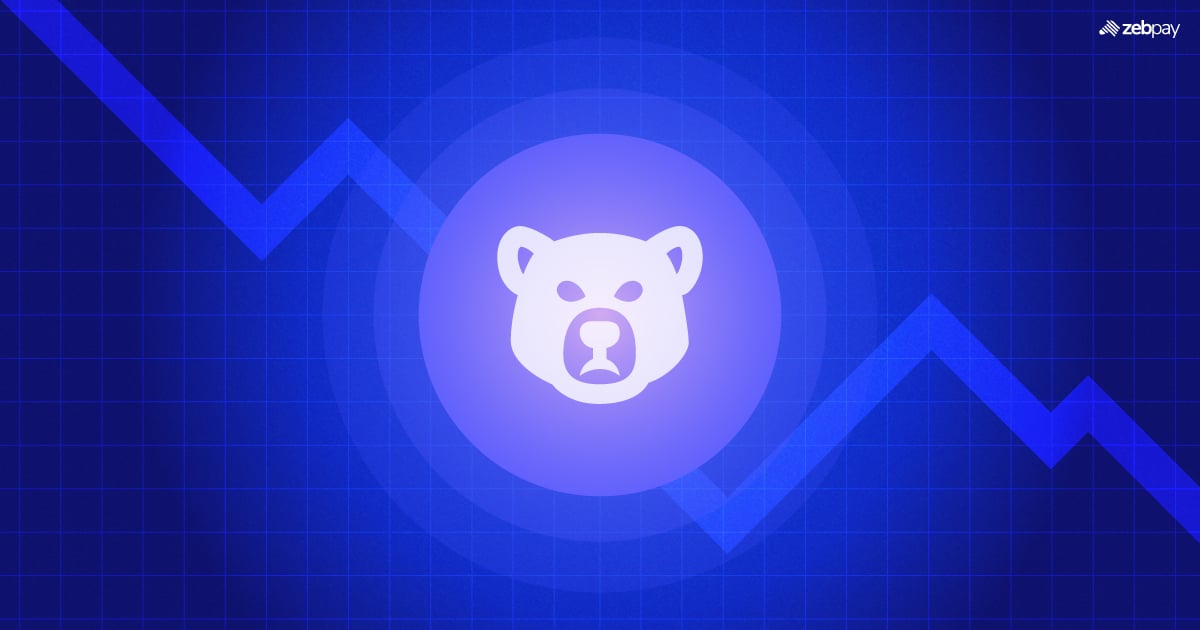 Bear Market Crypto Strategies