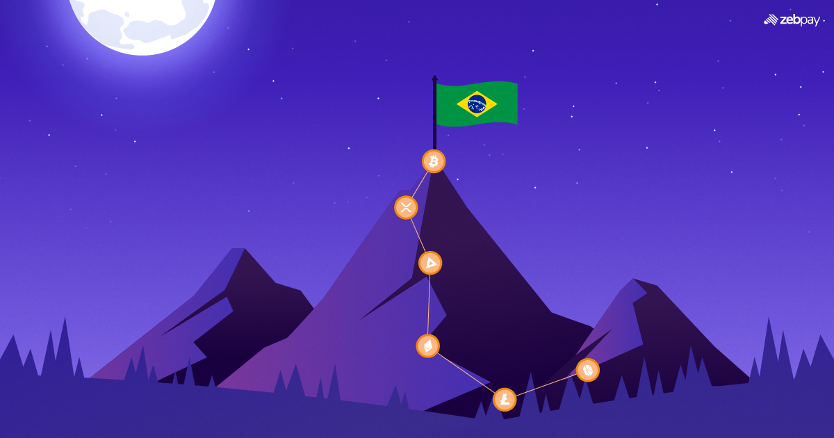 Brazilian Proposal Seeks to Legalise Crypto Payments Though Protecting Your Privacy