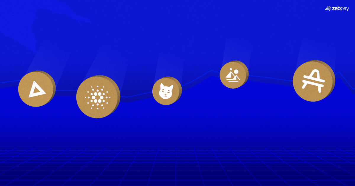 BUSD pairs now available on ZebPay for five new coins