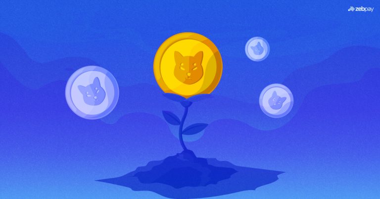 Is Shiba a Good Investment?