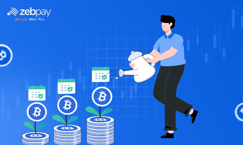 ZebPay SIP: The Disciplined Approach to Bitcoin Investing